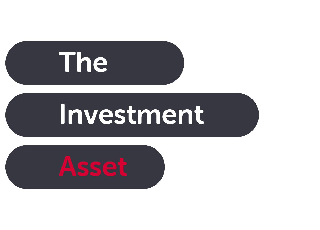 The Investment Asset