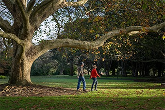 couple walking in autumn