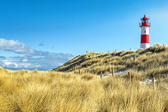red and white lighthouse surrounded by grass 