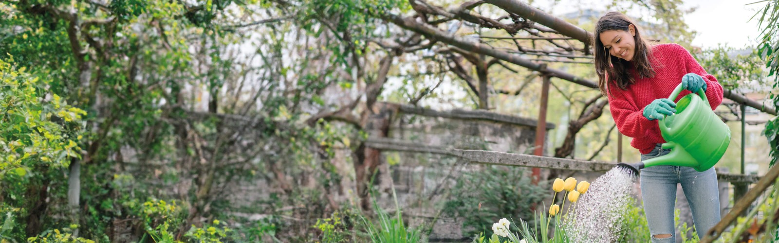 Woman in red jumper watering plants