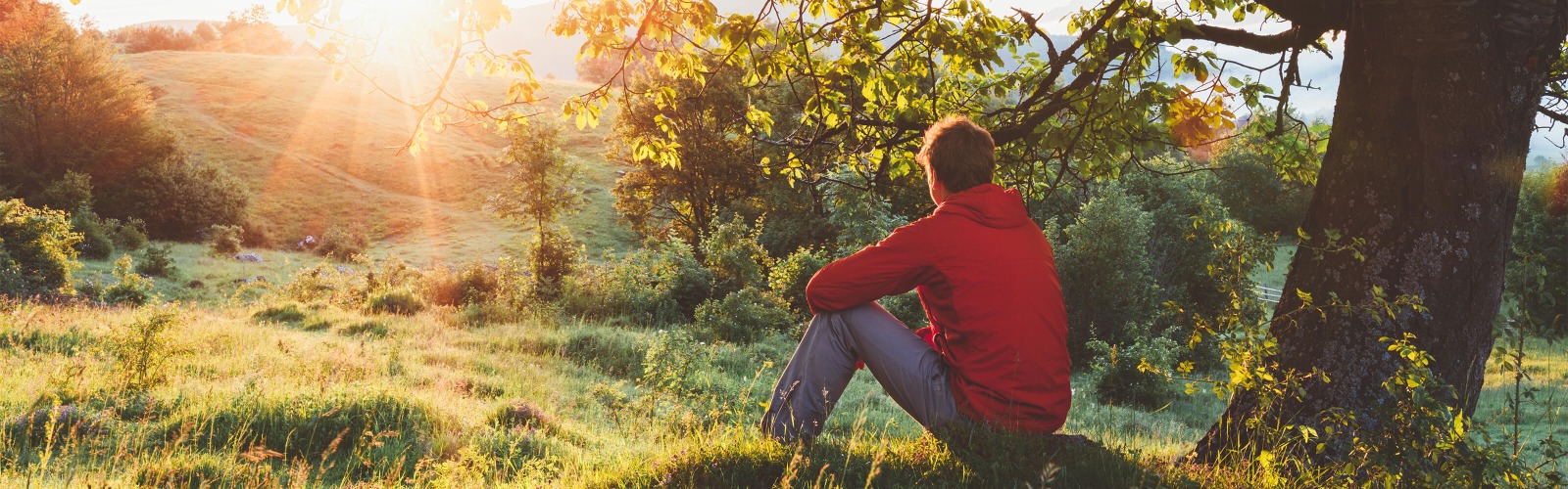 man sat watching sunset alone in a field