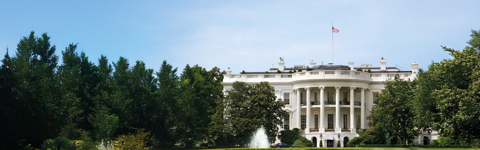 The white house 