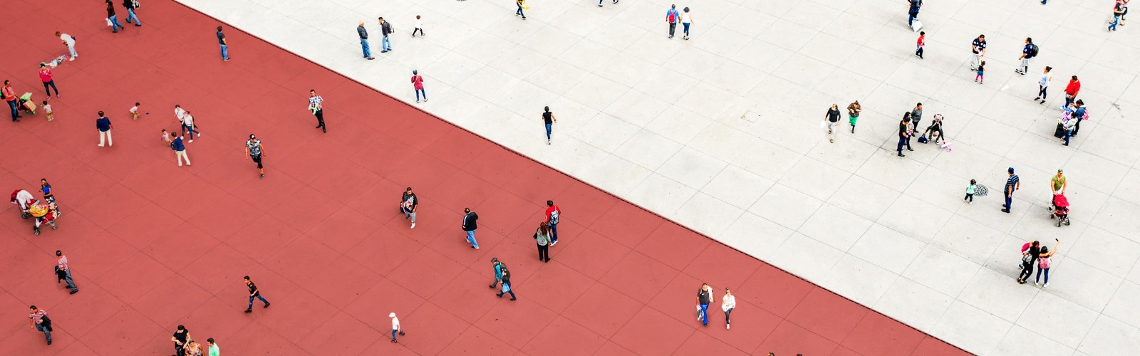 birds eye view of people