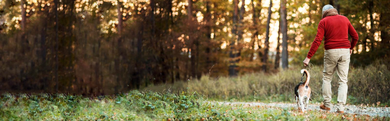 Man walking dog banner