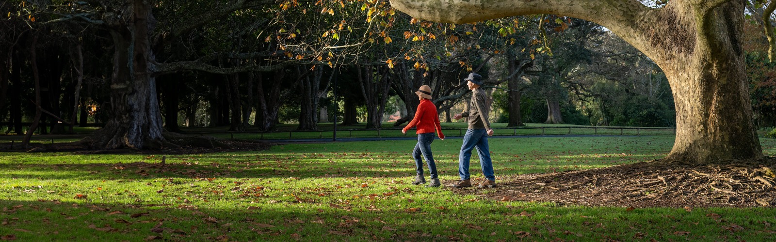 couple walking in autumn