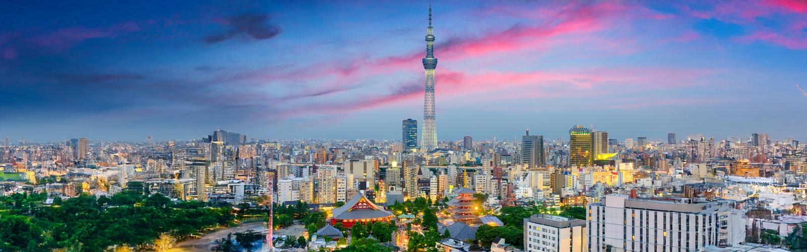 Tokyo skyline