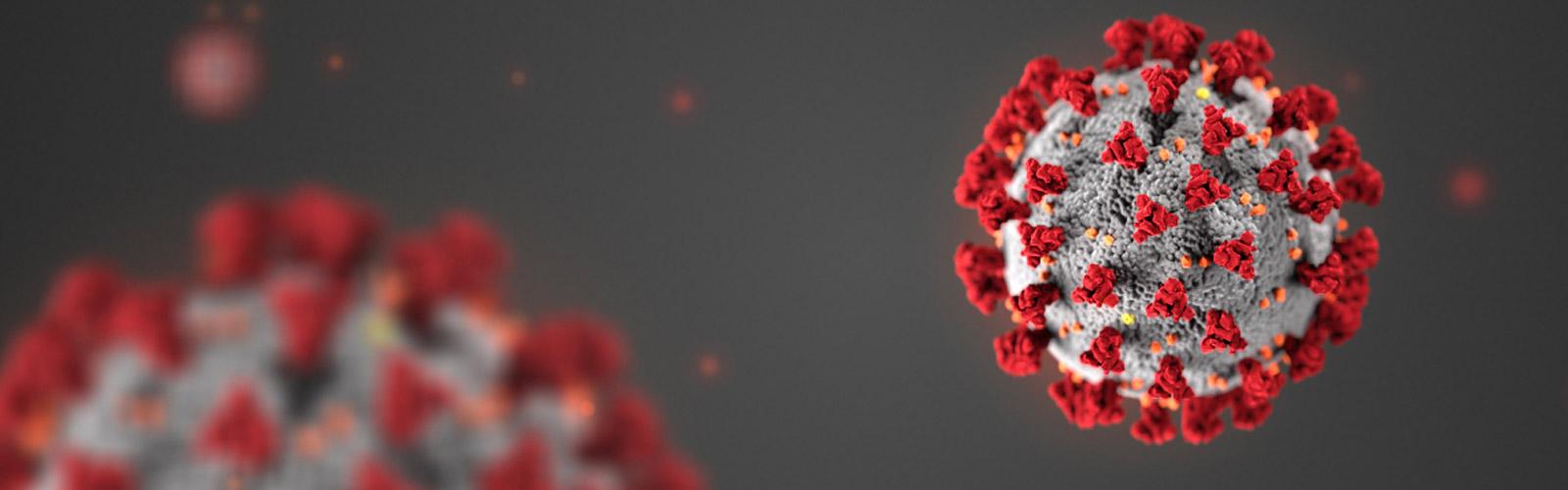 Image of coronavirus