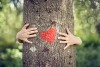 Tree with heart