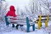 Bench in Snow